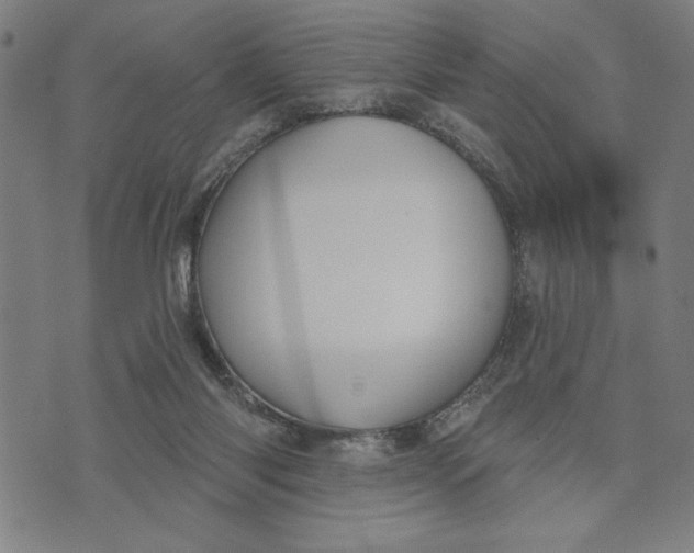 X0000073520118200608211814