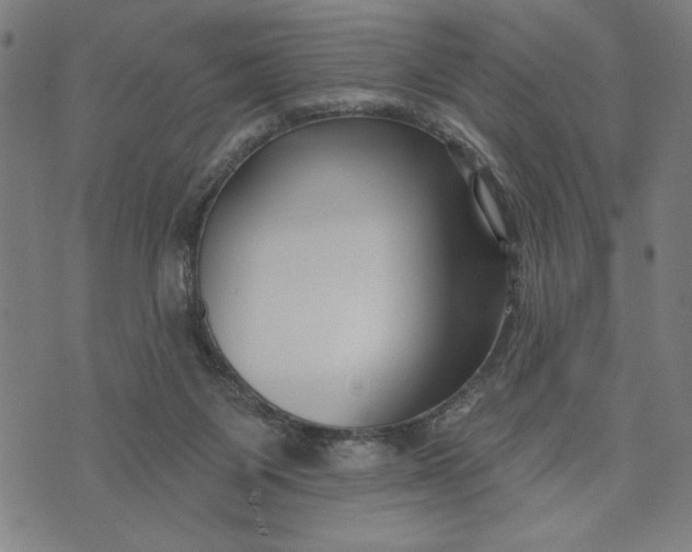 X0000073520119200608211814