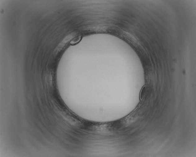 X0000073520120200608211814