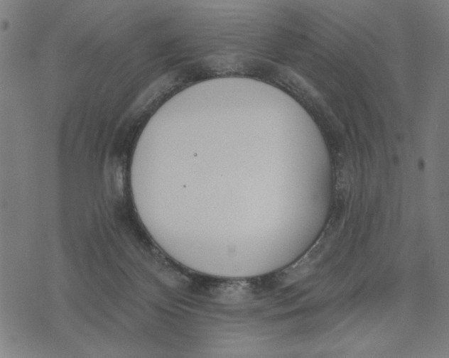 X0000073520124200608211814