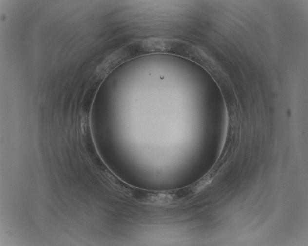 X0000073520125200608211814