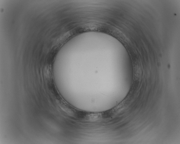 X0000073520126200608211814