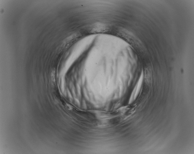 X0000073520127200608211814