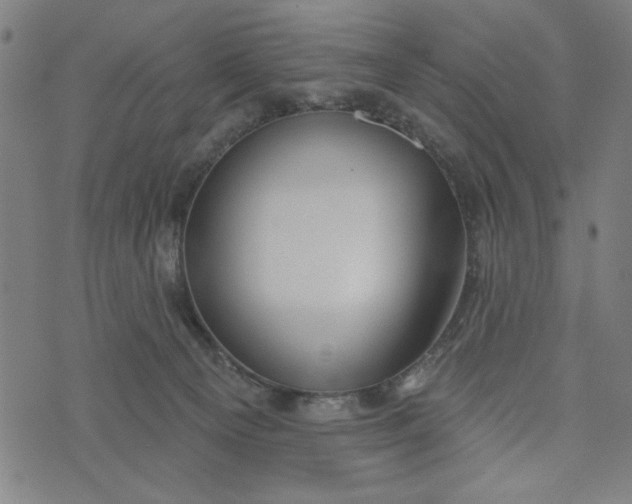 X0000073520129200608211814