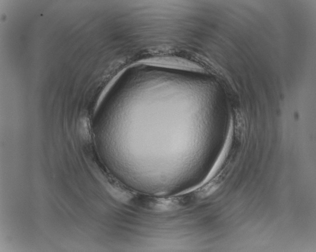 X0000073520130200608211814