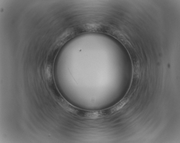 X0000073520131200608211814