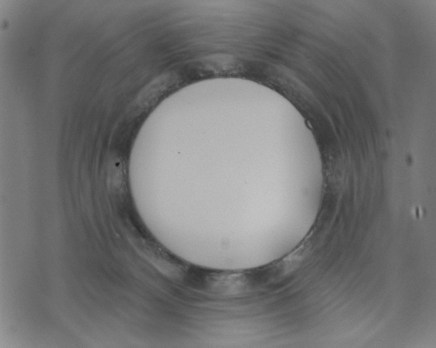 X0000073520132200608211814