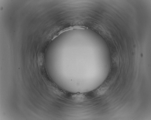 X0000073520133200608211814