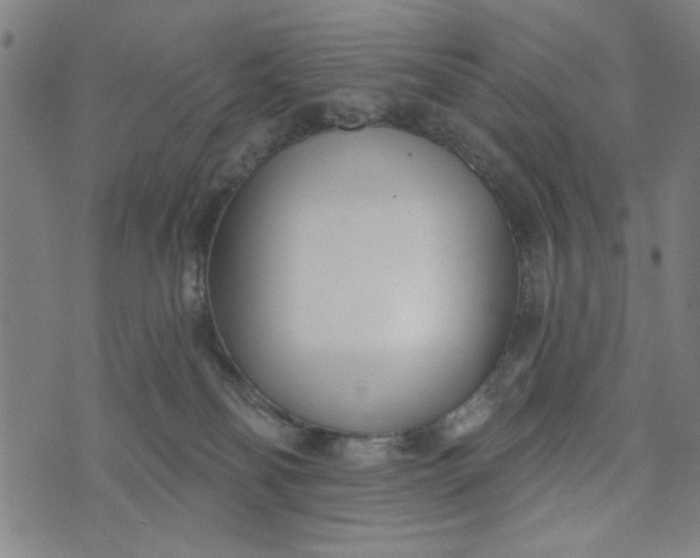 X0000073520134200608211814