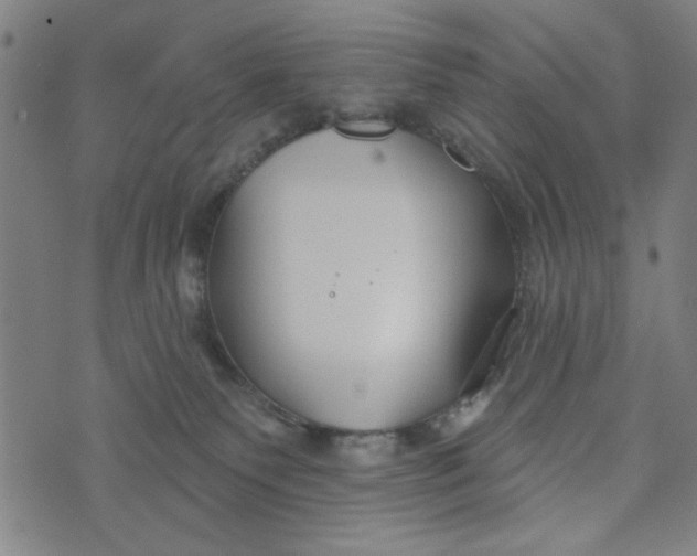 X0000073520135200608211814