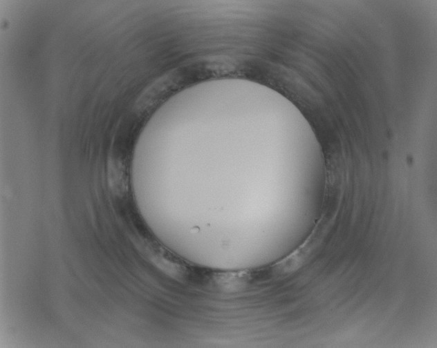 X0000073520136200608211814