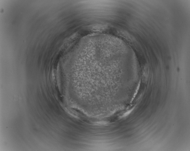 X0000073520137200608211814