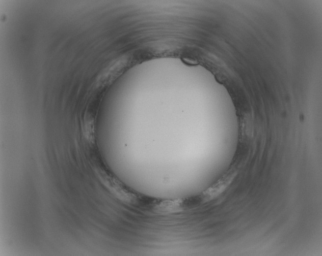 X0000073520138200608211814