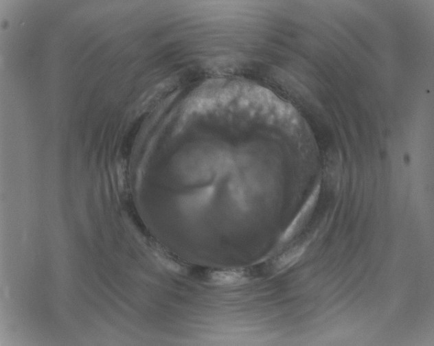 X0000073520139200608211814