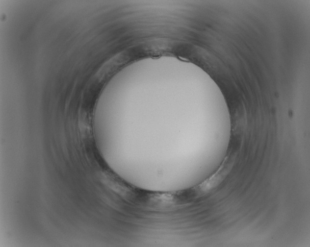 X0000073520140200608211814