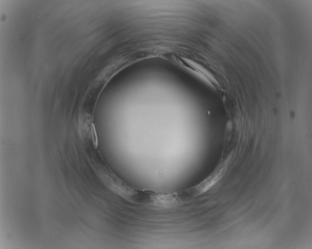 X0000073520141200608211814