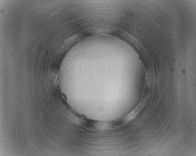 X0000073520142200608211814