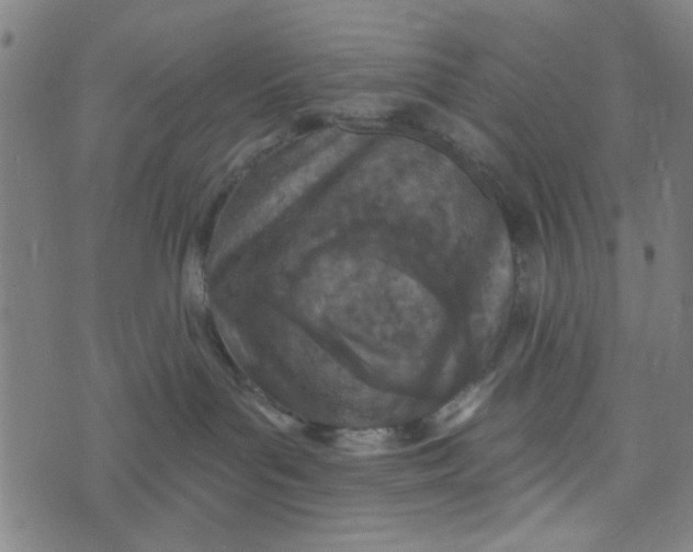 X0000073520143200608211814