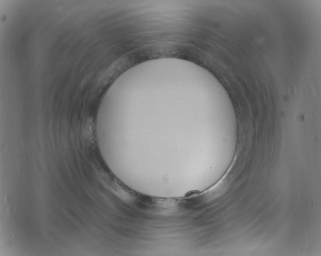 X0000073520144200608211814