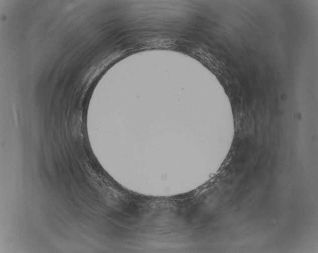 X0000073520146200608211813