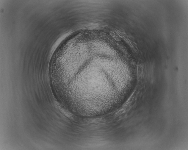 X0000073520147200608211813