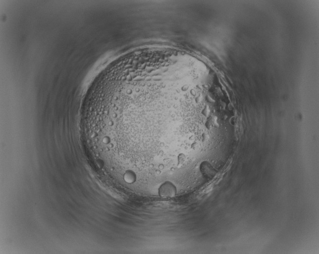 X0000073520151200608211813