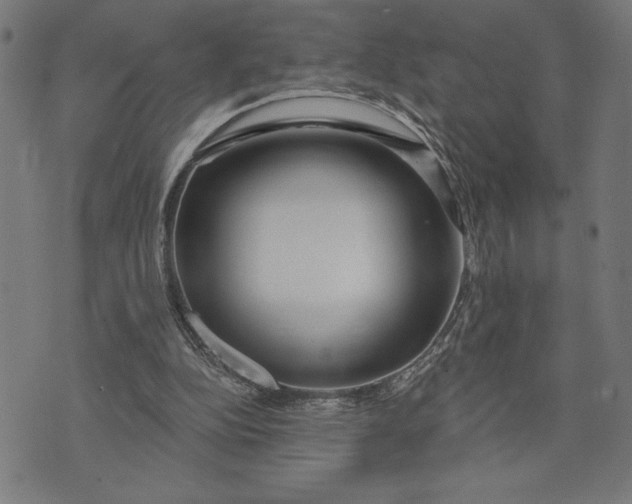 X0000073520152200608211813