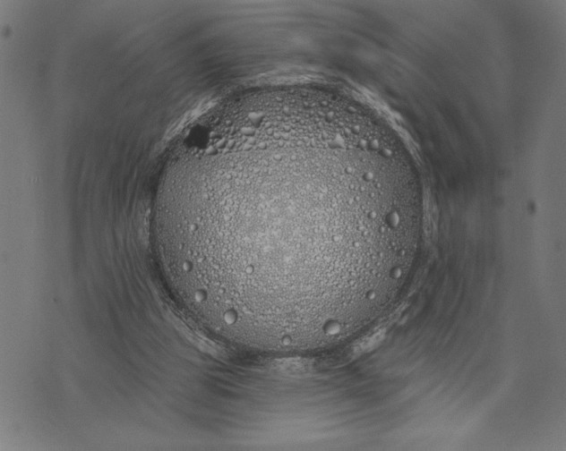 X0000073520153200608211813