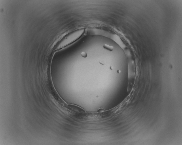 X0000073520154200608211813