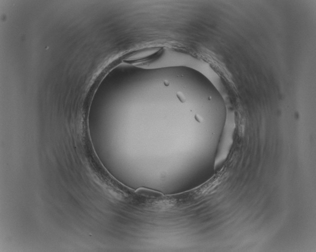 X0000073520156200608211813