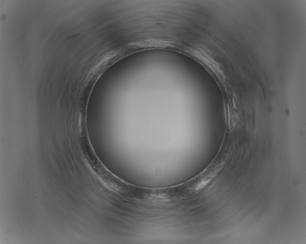 X0000073520157200608211813