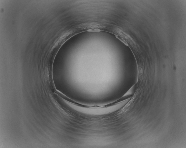 X0000073520158200608211813