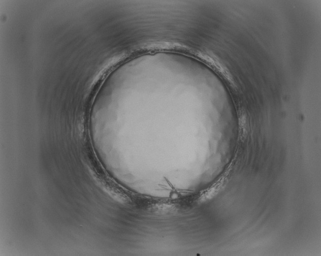 X0000073520159200608211813