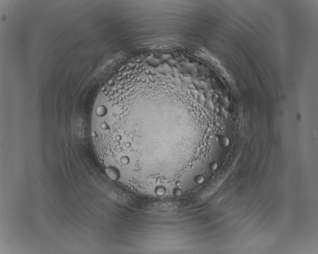 X0000073520161200608211813