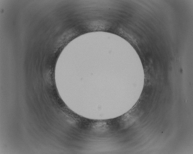 X0000073520162200608211813