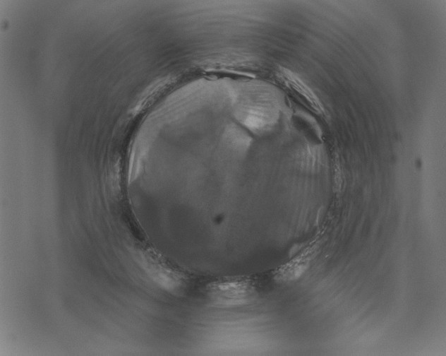 X0000073520163200608211813