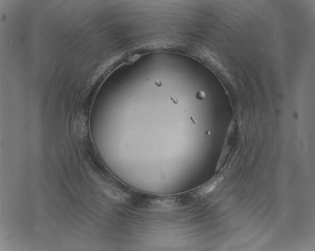 X0000073520164200608211813