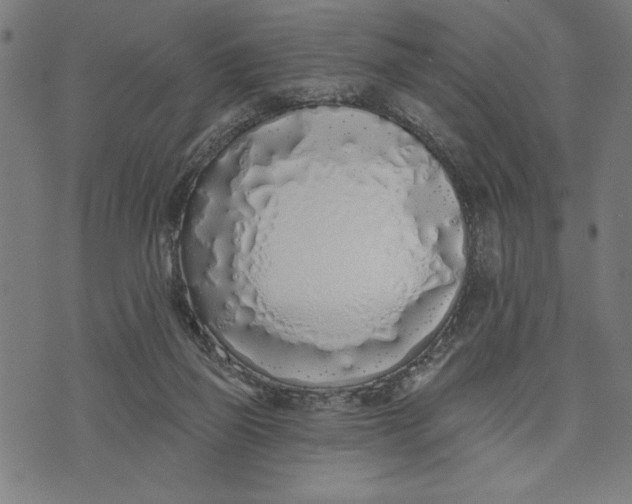 X0000073520165200608211813