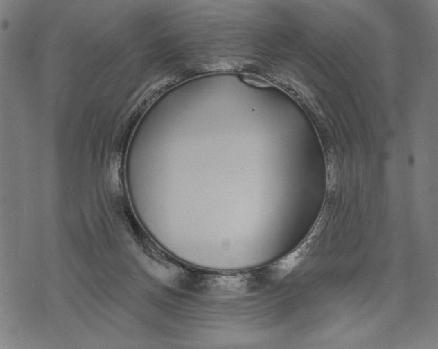 X0000073520166200608211813