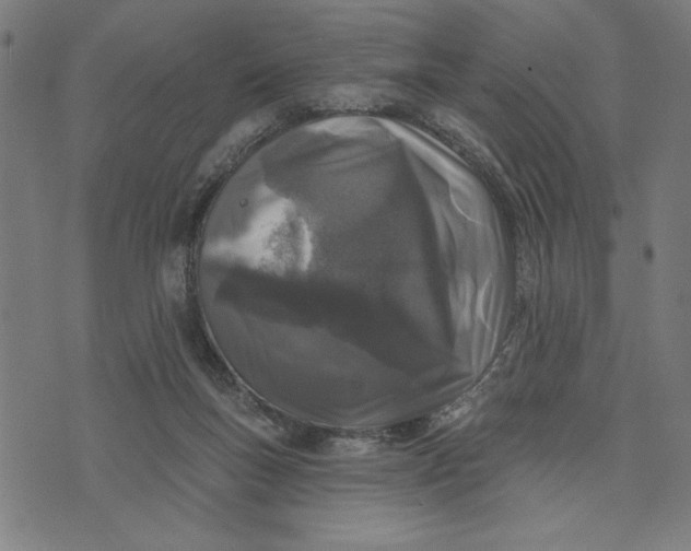 X0000073520167200608211813