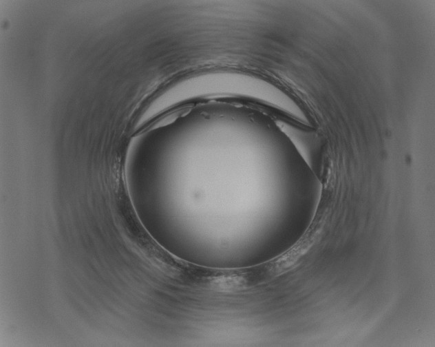 X0000073520168200608211813