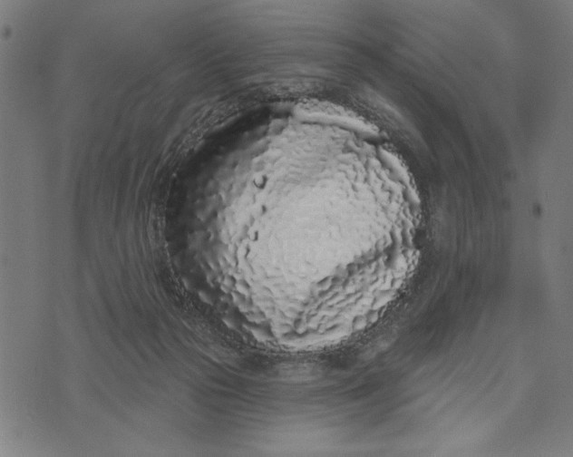 X0000073520169200608211813