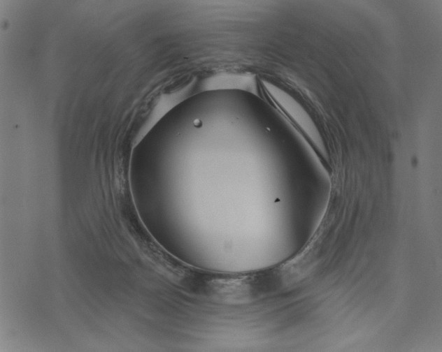 X0000073520170200608211813