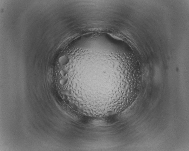 X0000073520171200608211813