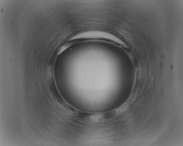 X0000073520172200608211813