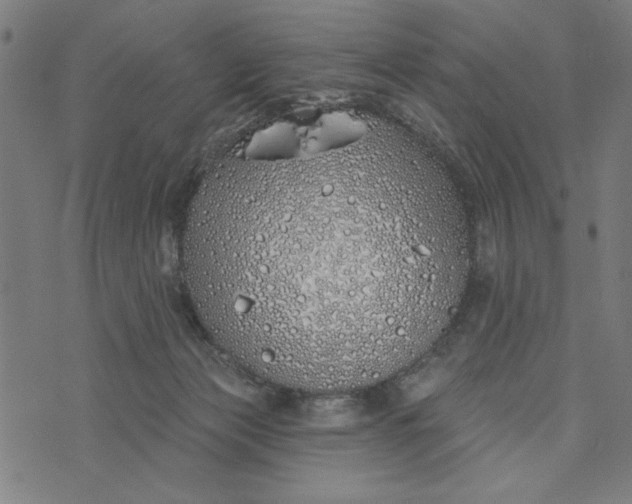 X0000073520173200608211814