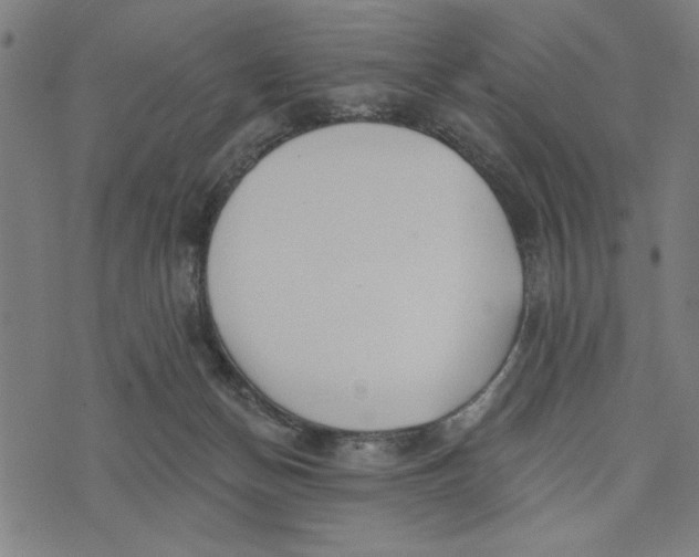 X0000073520174200608211814