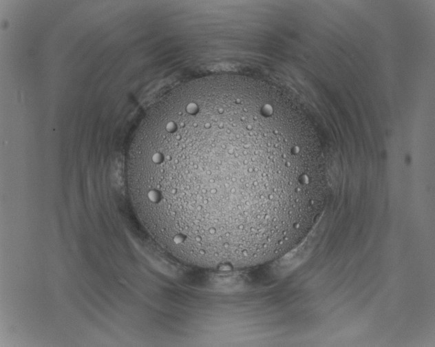 X0000073520175200608211814