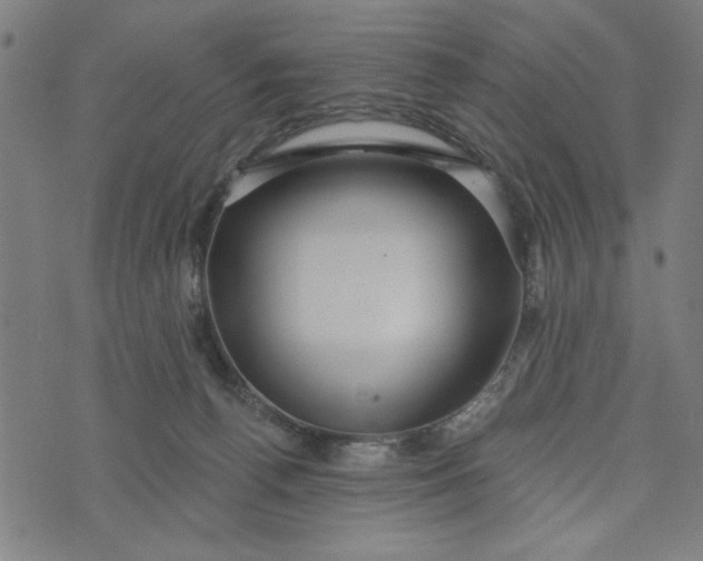 X0000073520176200608211814