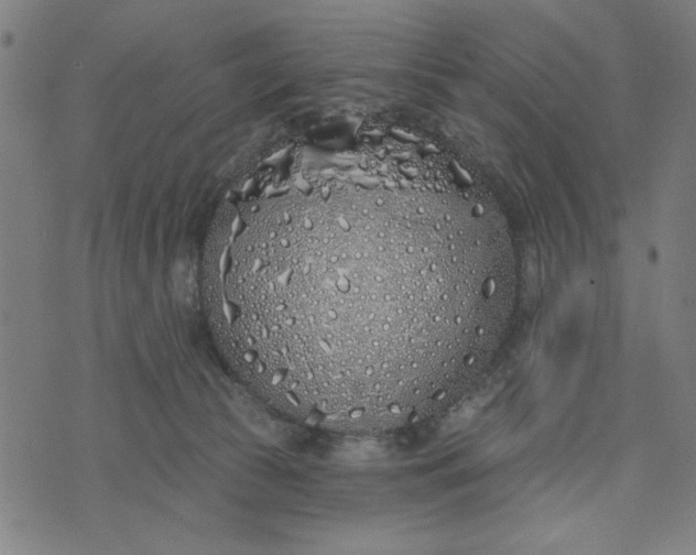 X0000073520177200608211814